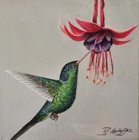 Tropen, Kolibri, 2024 - 1, 20 cm x 20 cm