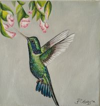 Tropen, Kolibri, 2024 - 2, 20 cm x 20 cm