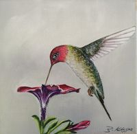 Tropen, Kolibri, 2024 - 4, 20 cm x 20 cm